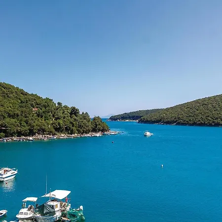 Awesome In Belavici With Sauna Holiday home